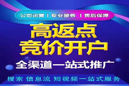 某电商平台的SEM优化托管实践与效果评估